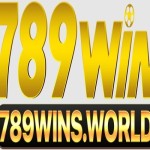 789wins World Profile Picture