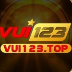 Vui123 Profile Picture