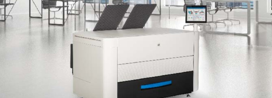 Lone Star Document Solutions Cover Image