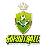 gofootballtogo Profile Picture