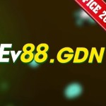ev88 gdn Profile Picture