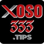 xoso333 tips Profile Picture