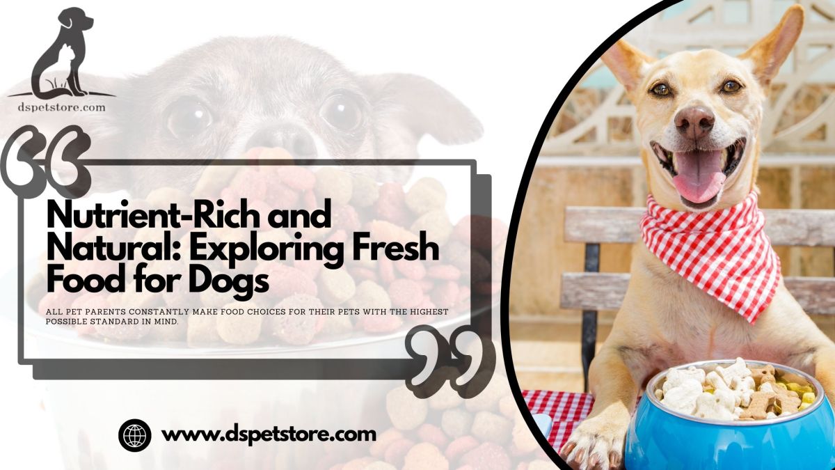 Nutrient-Rich and Natural: Exploring Fresh Food for Dogs – DS PET STORE