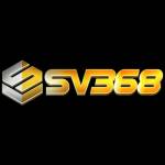 sv368ae Profile Picture