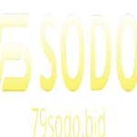 79sodo Profile Picture