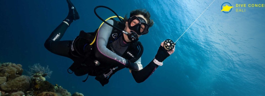 Dive Concepts Cover Image