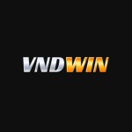 vndwin Profile Picture
