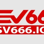 SV66 Profile Picture