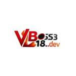vboss18dev1 profile picture