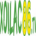 xoilaczzzzltvn Profile Picture