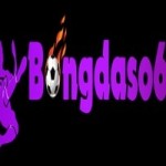 Bongdaso66 Design Profile Picture