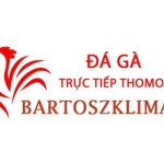 Đá Gà Trực Tiếp Thomo Profile Picture