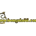 Cuocbongda88 Com Profile Picture
