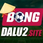 bongdalu2site Profile Picture