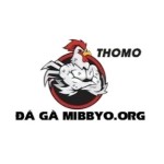 ĐÁ GÀ TRỰC TIẾP Profile Picture