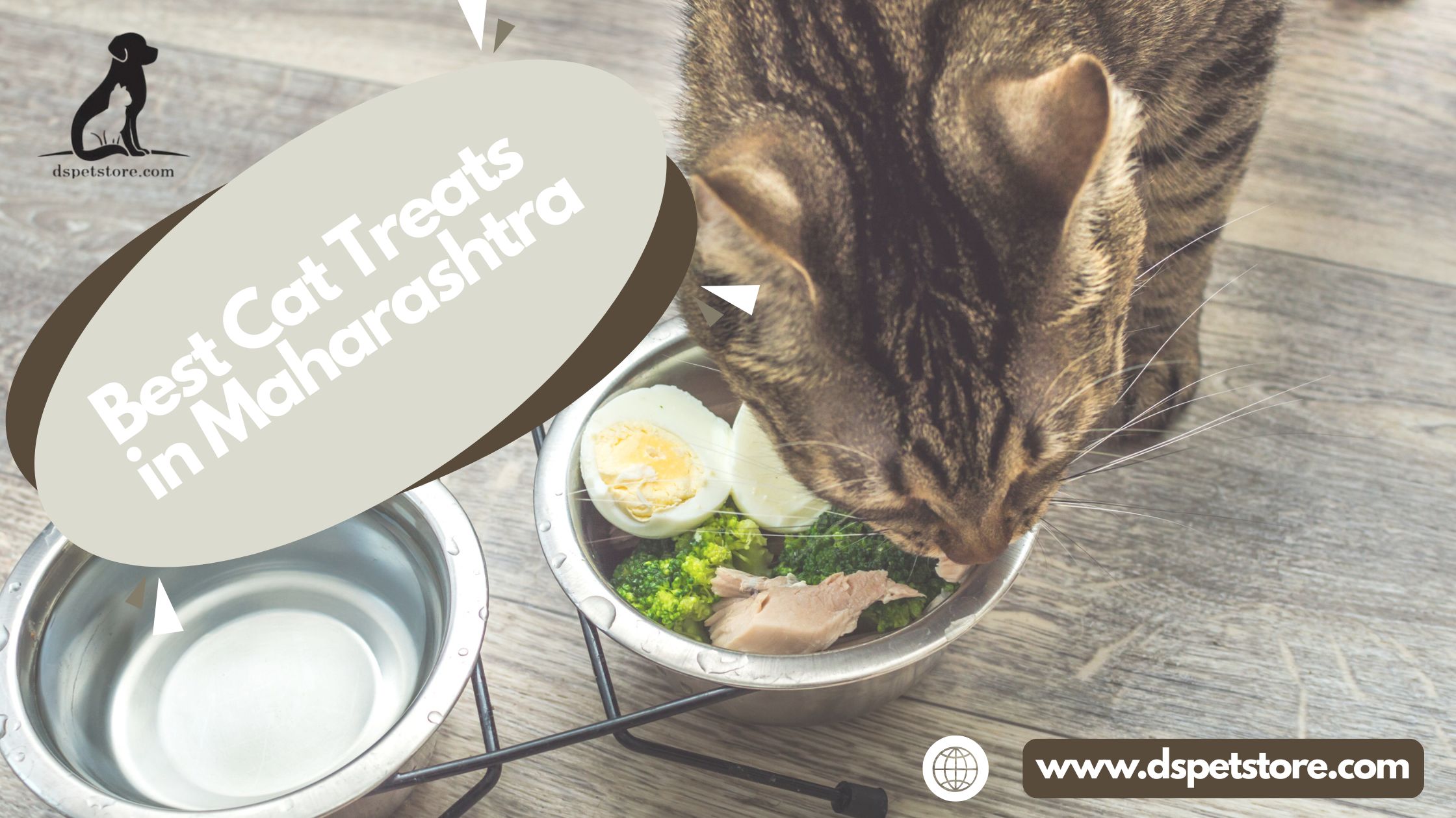 How To Pick The Best Cat Treats In Maharashtra? – Furreals | Youth Ki Awaaz