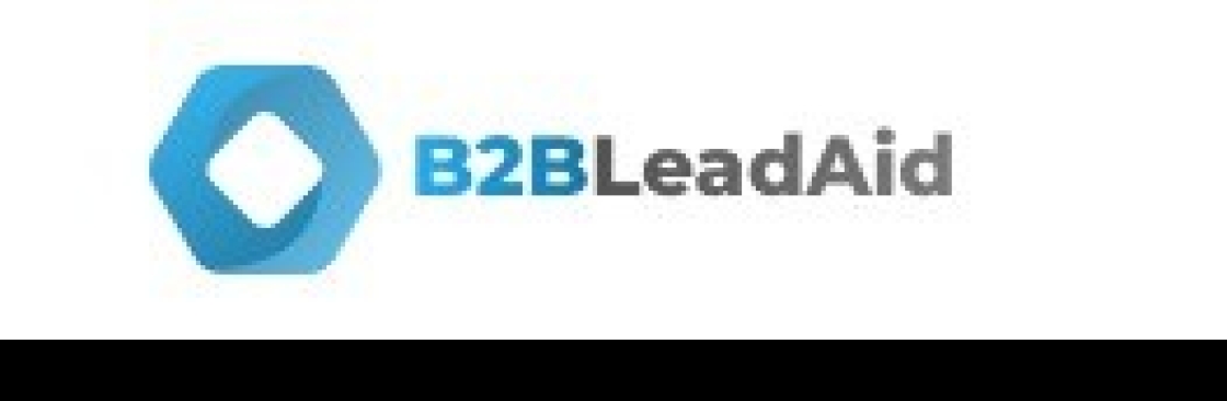 B2B Leadaid Cover Image