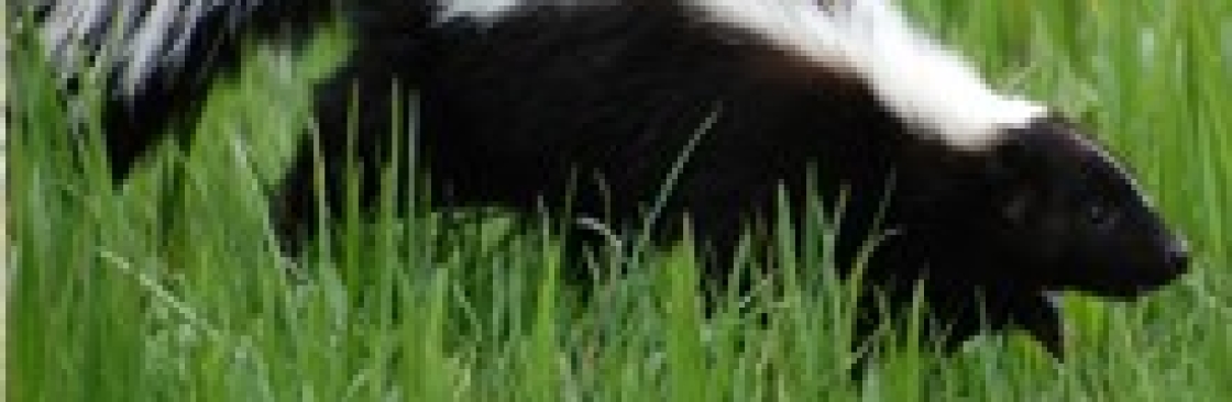 ProActive Pest Control Cover Image