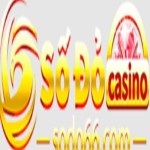 sodo66acvn Profile Picture