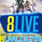 8live digital Profile Picture