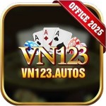 vn123 autos Profile Picture