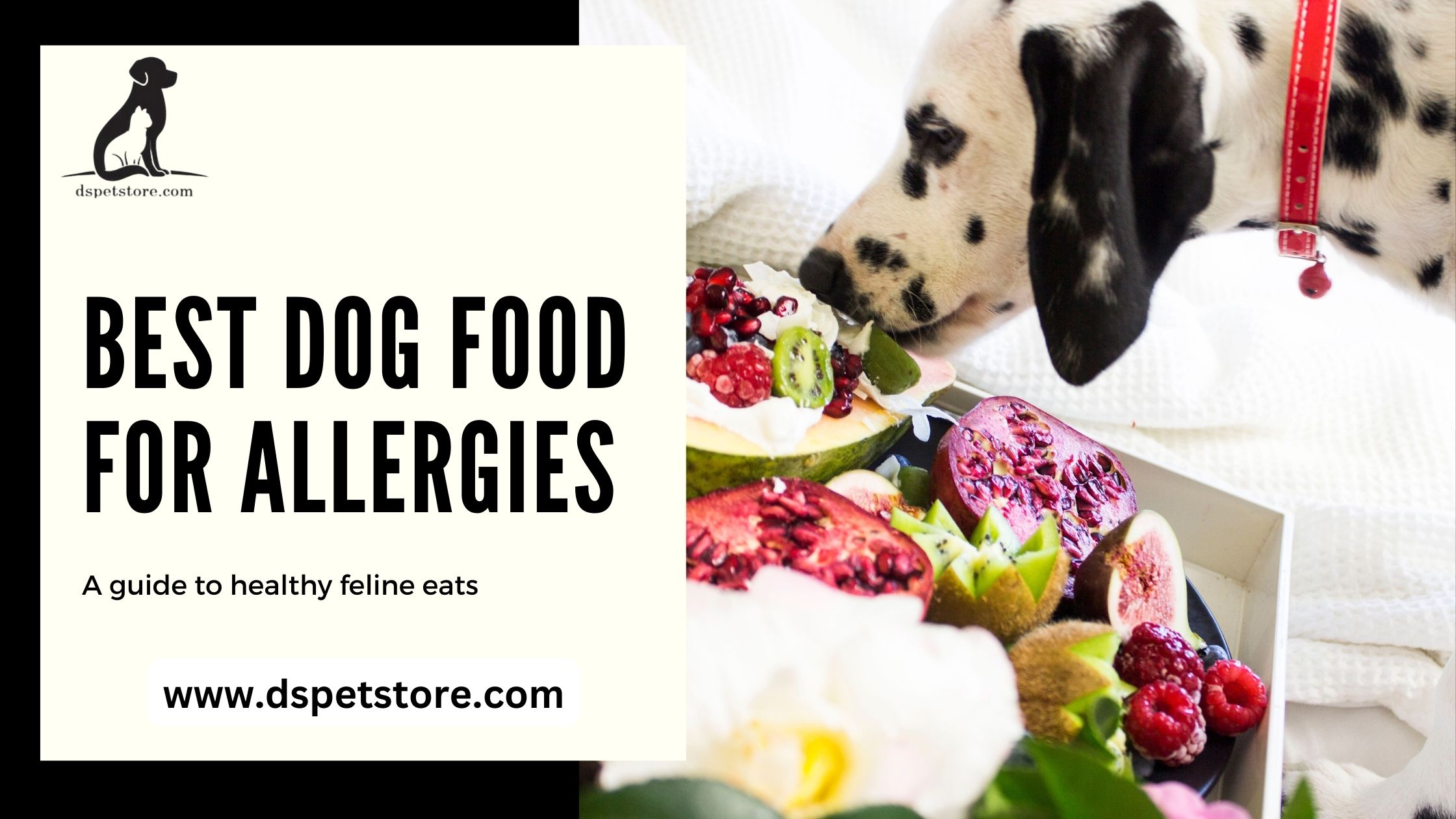 Best Dog Food for Allergies: What to Feed Your Sensitive Dog