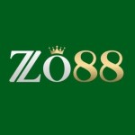 zo88la Profile Picture