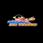 cổng game bắn cá đổi thưởng Profile Picture