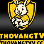 Thovang TV Profile Picture