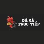 Đá Gà Trực Tiếp Profile Picture