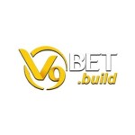 V9BET build Profile Picture