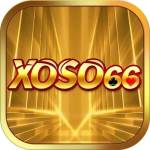 Xoso66 dating Profile Picture