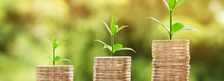 Mainstreet Solutions LLC Cover Image