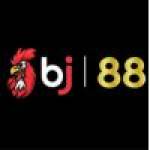 Bj88com Skin Profile Picture