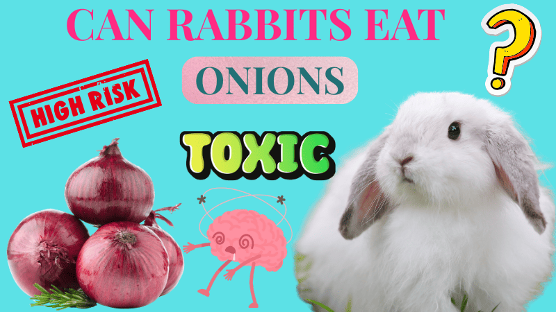 Can Rabbits Eat Onions (Green, Spring, & Wild)? A Complete Guide