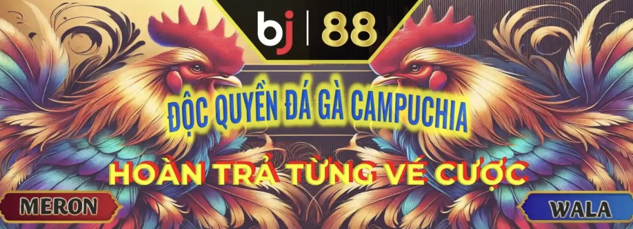 Bj88com Skin Cover Image