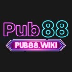 PUB 88 Profile Picture