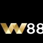 W88  Cong ca cuoc the thao Profile Picture