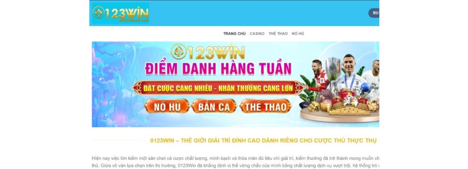 0123win com Cover Image