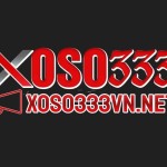 Xoso 333 Profile Picture