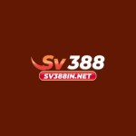 sv388 Profile Picture