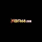 BR68 Profile Picture