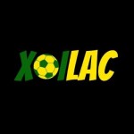 savesallacom phát tán mã độc BOTNET Profile Picture