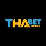 thabet design Profile Picture