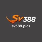 SV388 Pics Profile Picture
