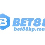 Bet 88 Profile Picture