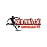 Kèo Nhà Cái Profile Picture