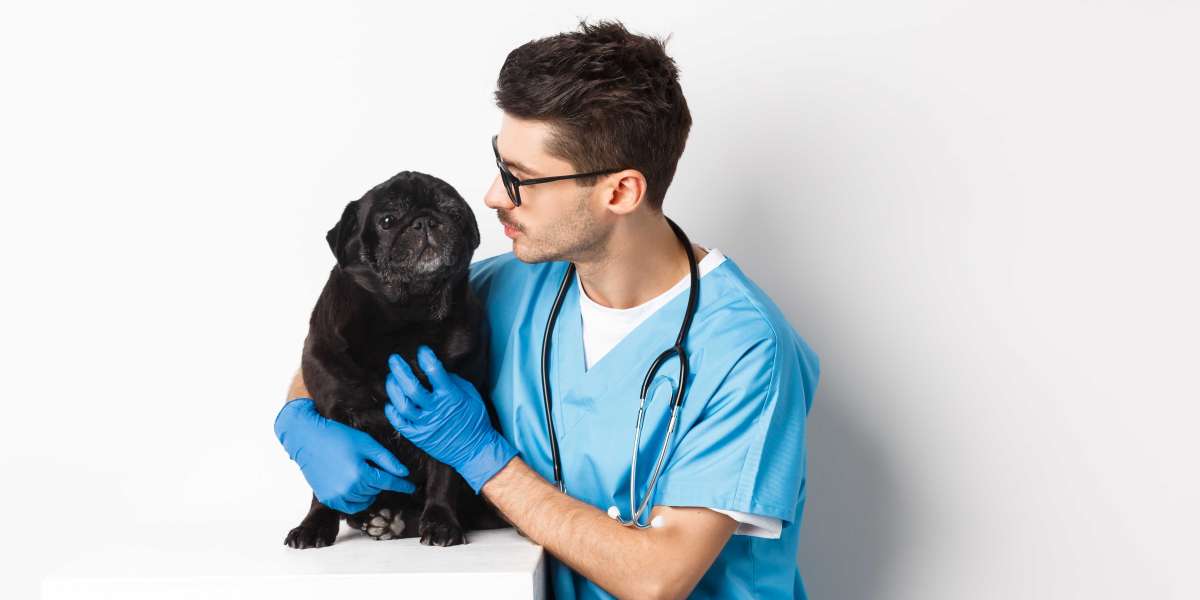 Best Reiki Attunement for Pets with Animal Reiki Planet