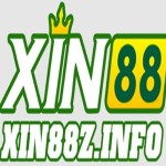 Xin88 Profile Picture