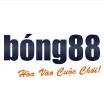 BONG88 Profile Picture
